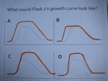 An example of student-generated graphs as clicker options.    Following a question prompt, the instructor moved through the room, saw what students were drawing, and put four of their answers (orange lines) on the printout shown on the document camera.  Instant clicker options, followed up by great discussion!